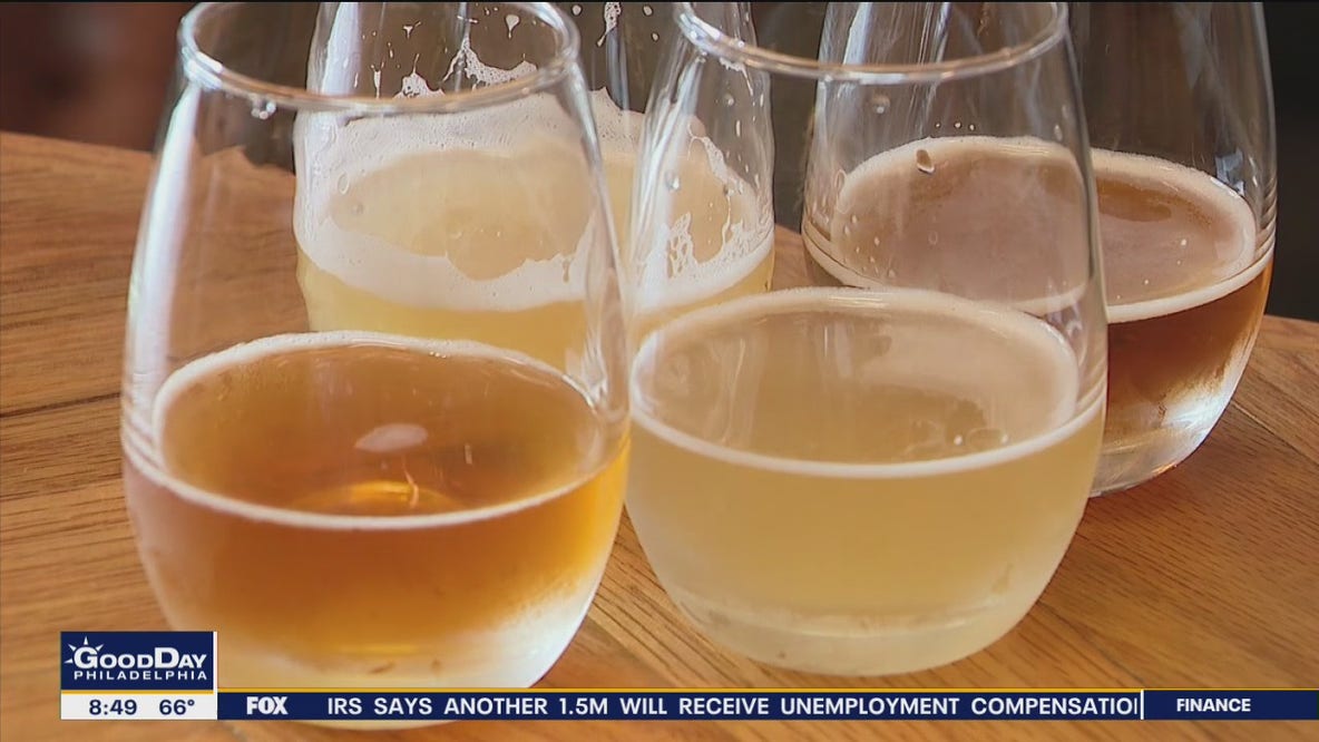 Atlantic City brewing company 'The Seed: A Living Beer Project' named best new brewery in the U.S.